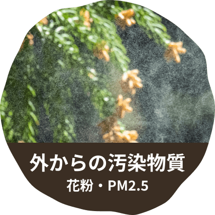 外からの汚染物質 花粉・PM2.5